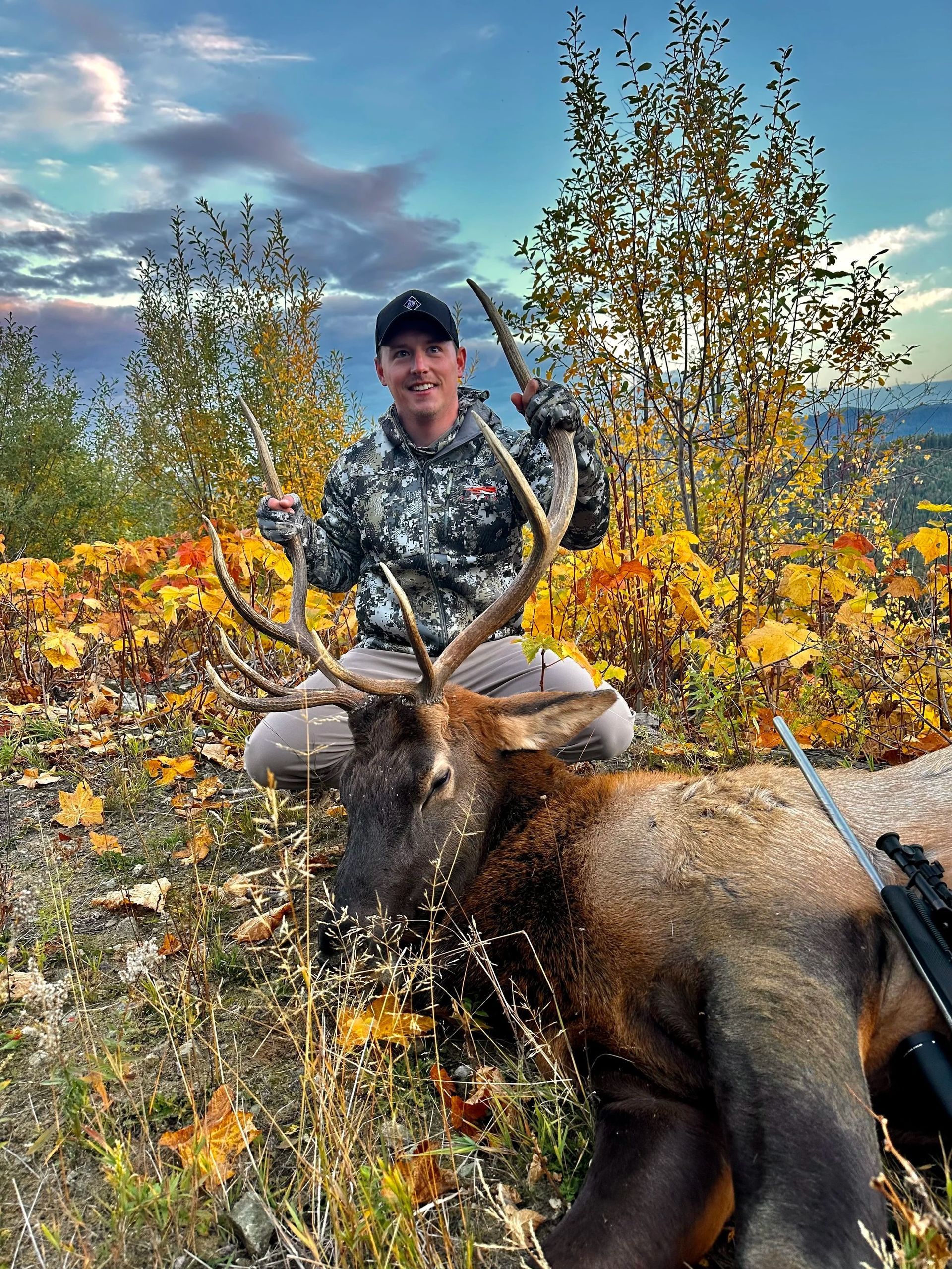 Elk