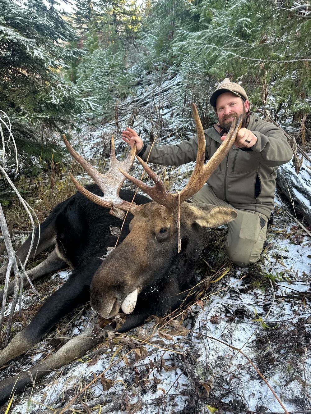 Moose