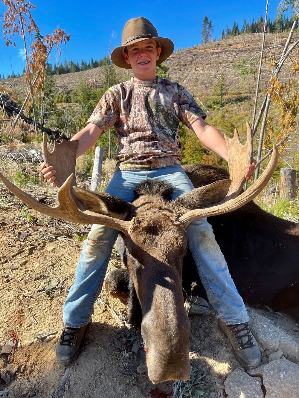 Moose