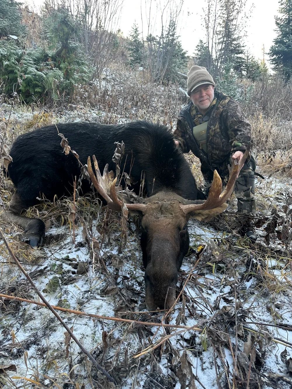 Idaho Whitetail Guides Moose Hunts
