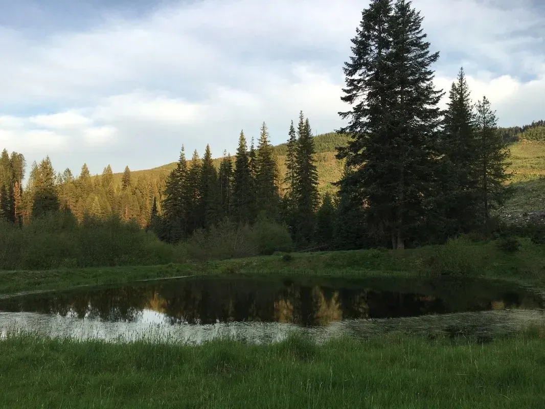 Idaho Whitetail Guides Location