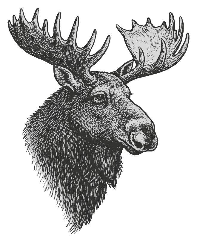 Moose