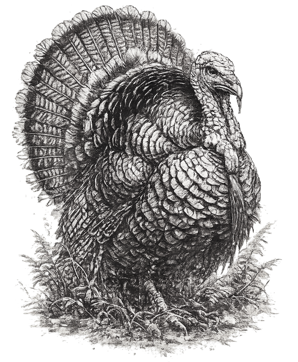Turkey
