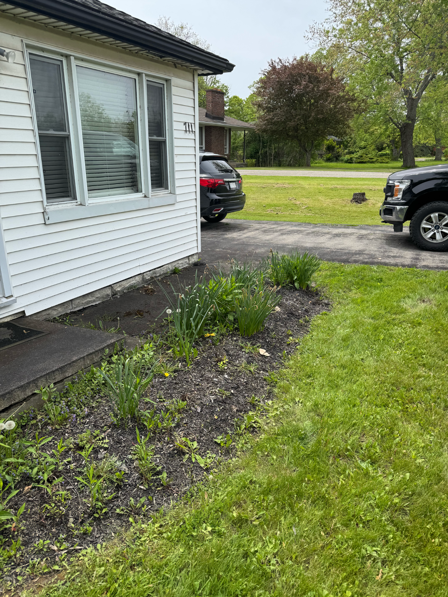 A side view of a white, siding-covered house with a small garden bed in the foreground and vehicles parked in the driveway.