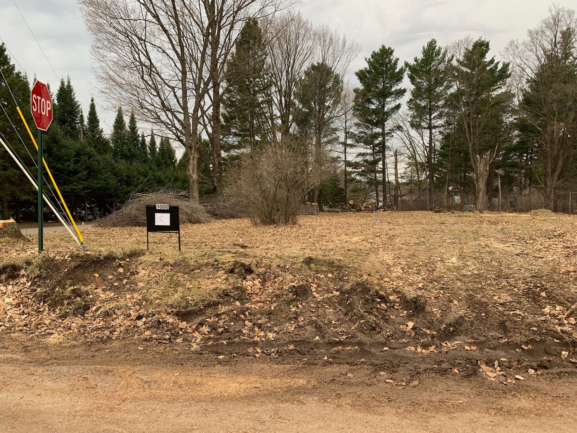 A vacant lot covered in leaves with a for sale sign and trees in the background. Stop sign at left.