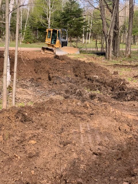Mini excavator moving dirt in a wooded area.