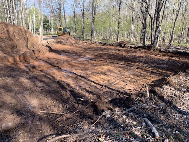 Clearing in a forest with dirt, a small excavator, and trees.