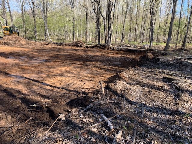 A cleared, dirt area in a forest. Brown soil, bare trees, and a small excavator are visible.