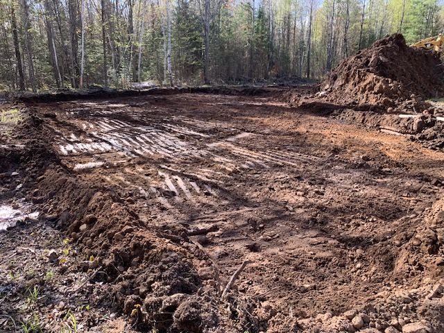 Cleared land with exposed soil, tire tracks, and a pile of dirt, surrounded by trees.