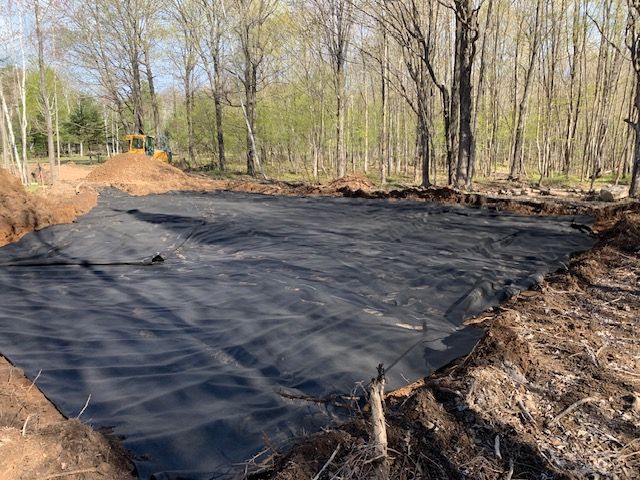 Black fabric covering a dug-out area in a forest, possibly a pond liner.