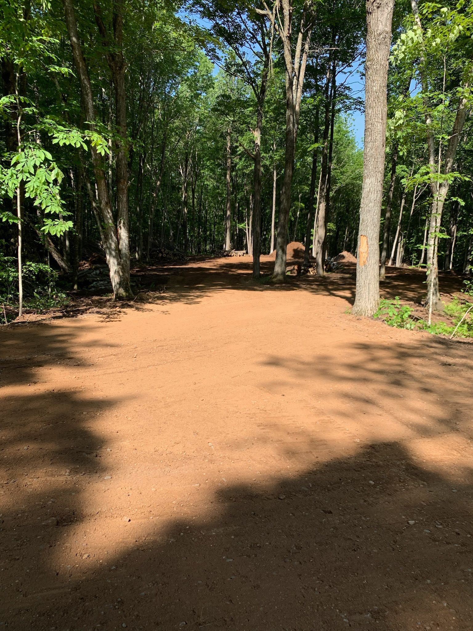 Dirt path through woods