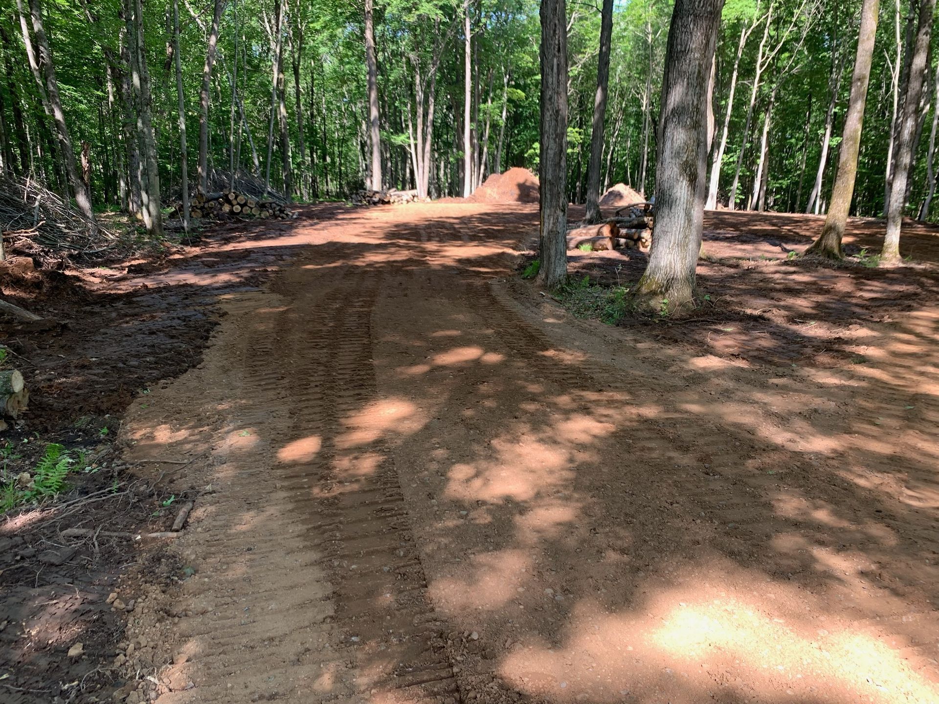 Dirt path winding through a sunlit forest, with trees on either side.