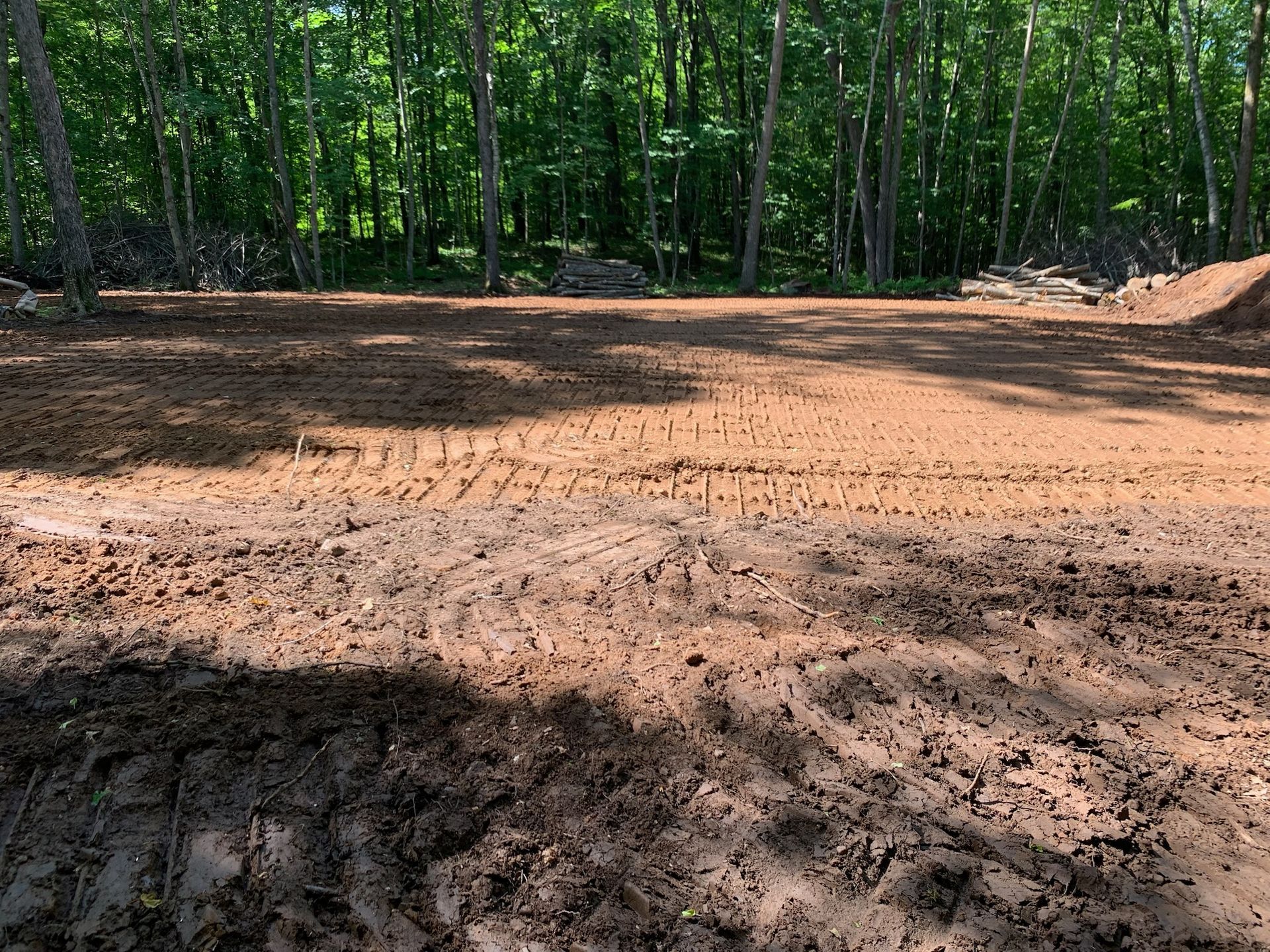 Brown cleared land with tire tracks in front of a forest; a sunny day.