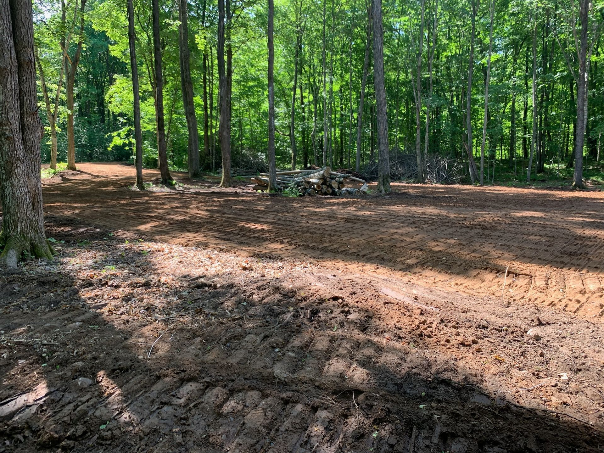 Clearing in a forest, dirt ground with tire tracks. Logs piled in the distance, trees in the background.