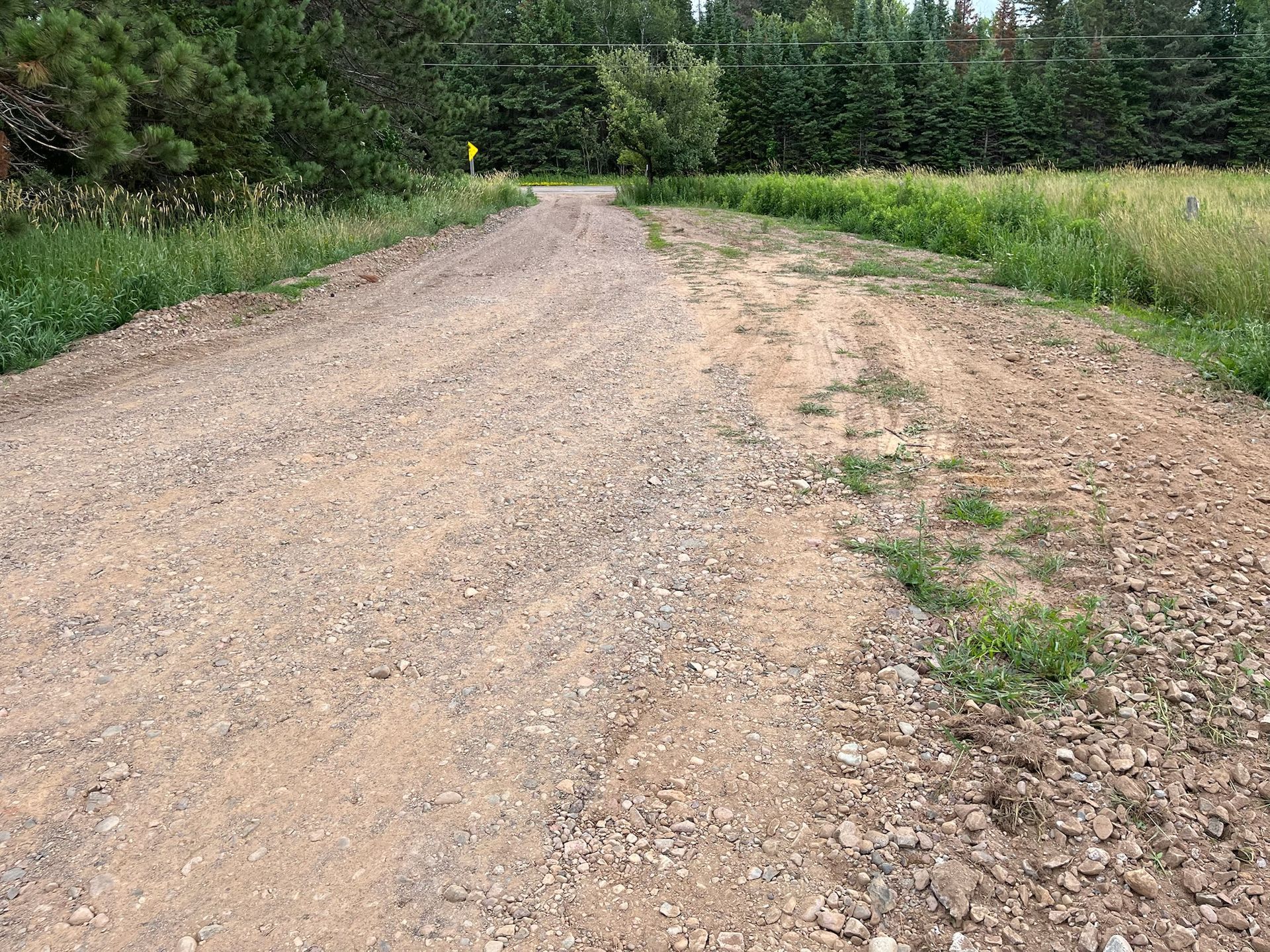 Gravel road leading into a green treeline, with grass and weeds on either side.