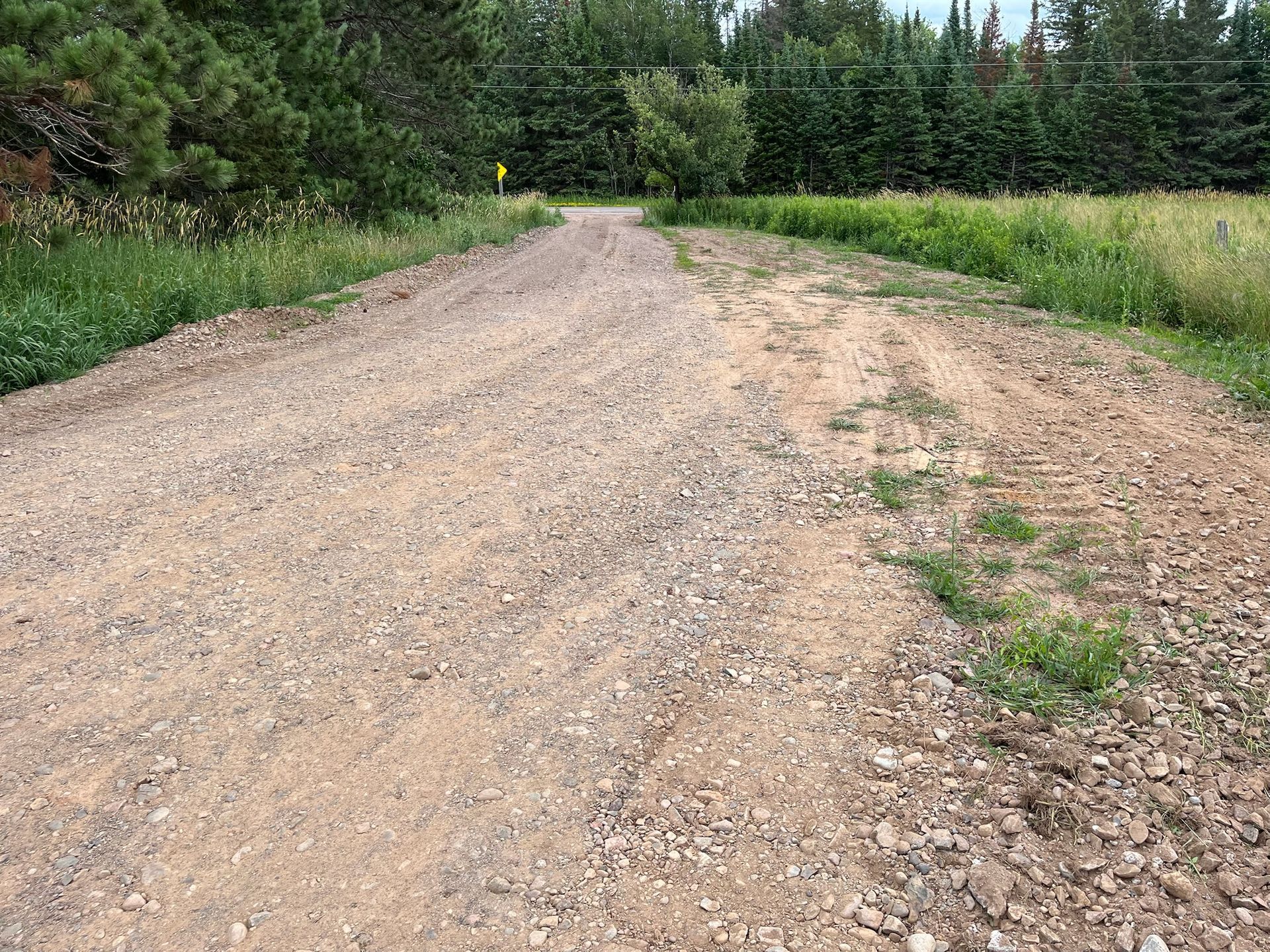 Gravel road with grassy edges leading toward trees under a cloudy sky.