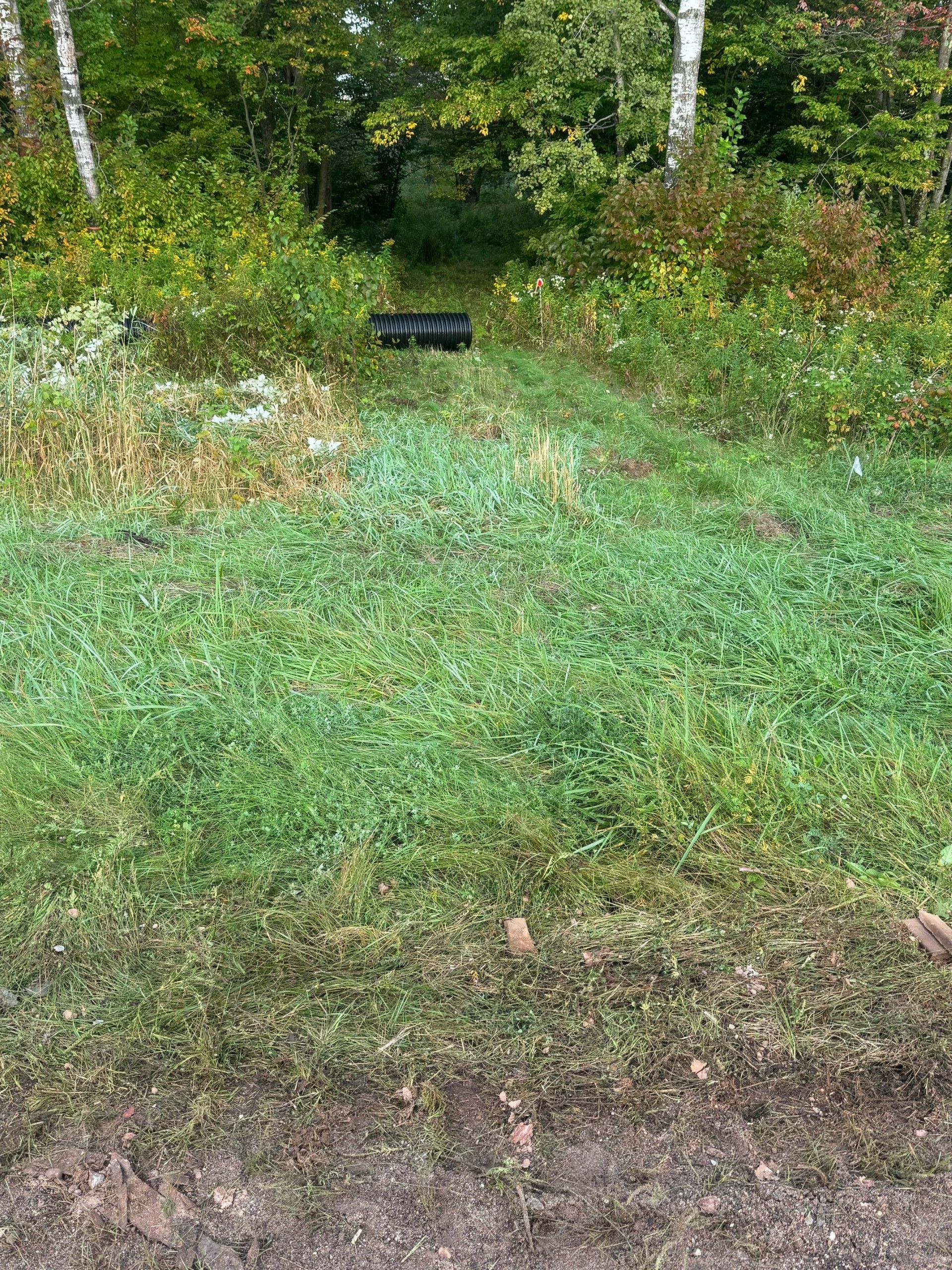 Grassy path with black culvert.
