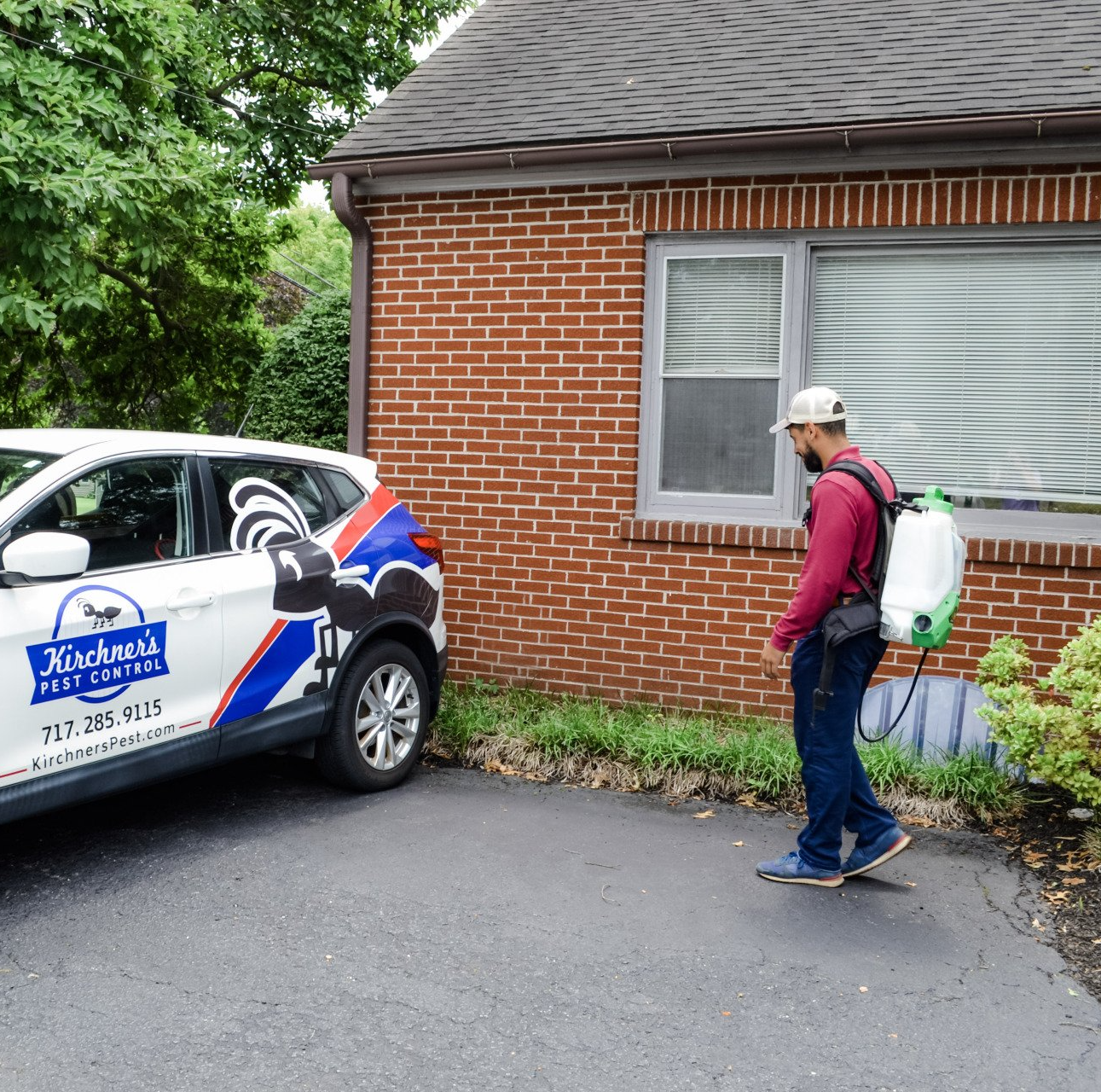 Pest control services in Columbia, PA Pest control services in Columbia, PA