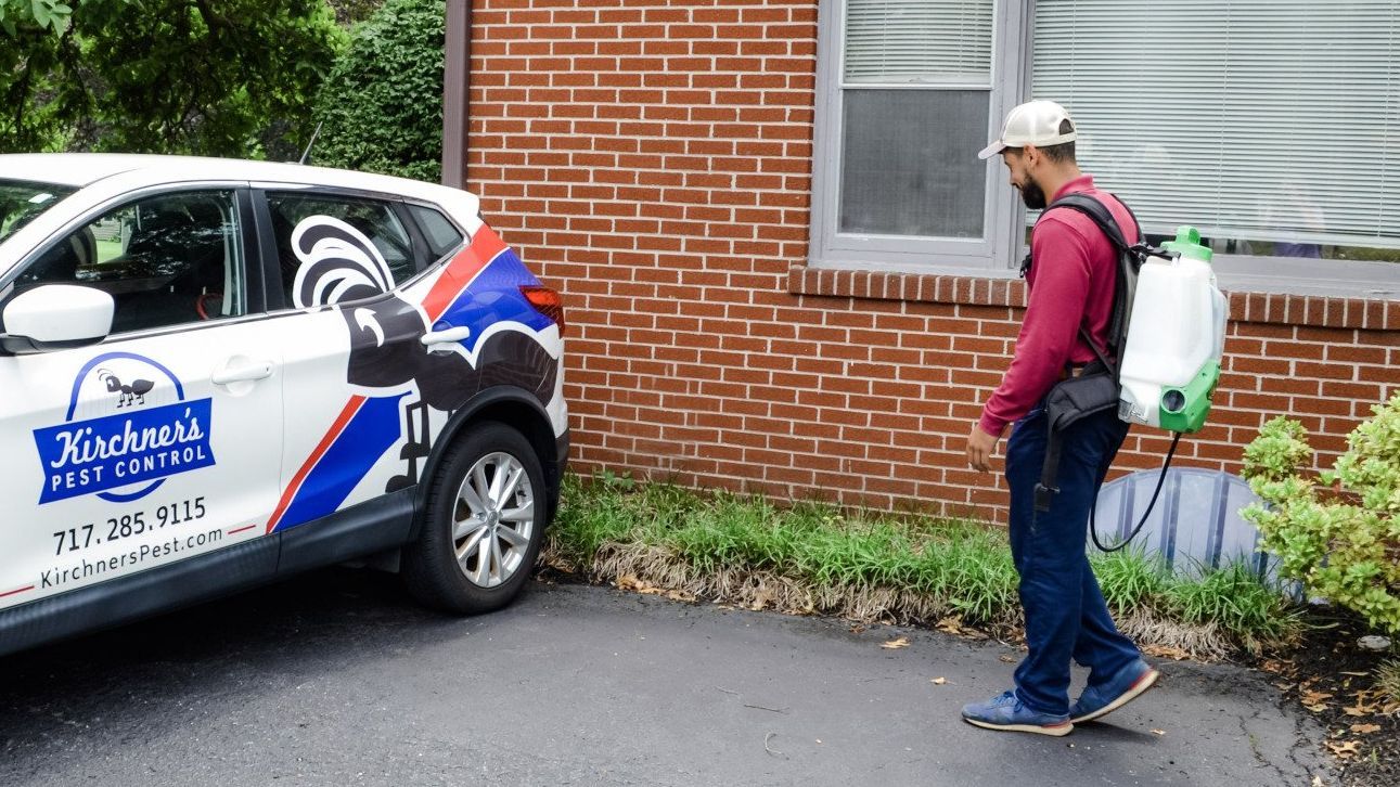 Pest control services in red lion, PA