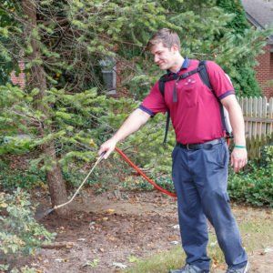 pest control services in Lititz, PA pest control services in Lititz, PA