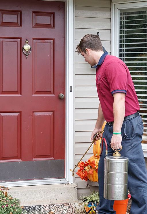 Pest control services