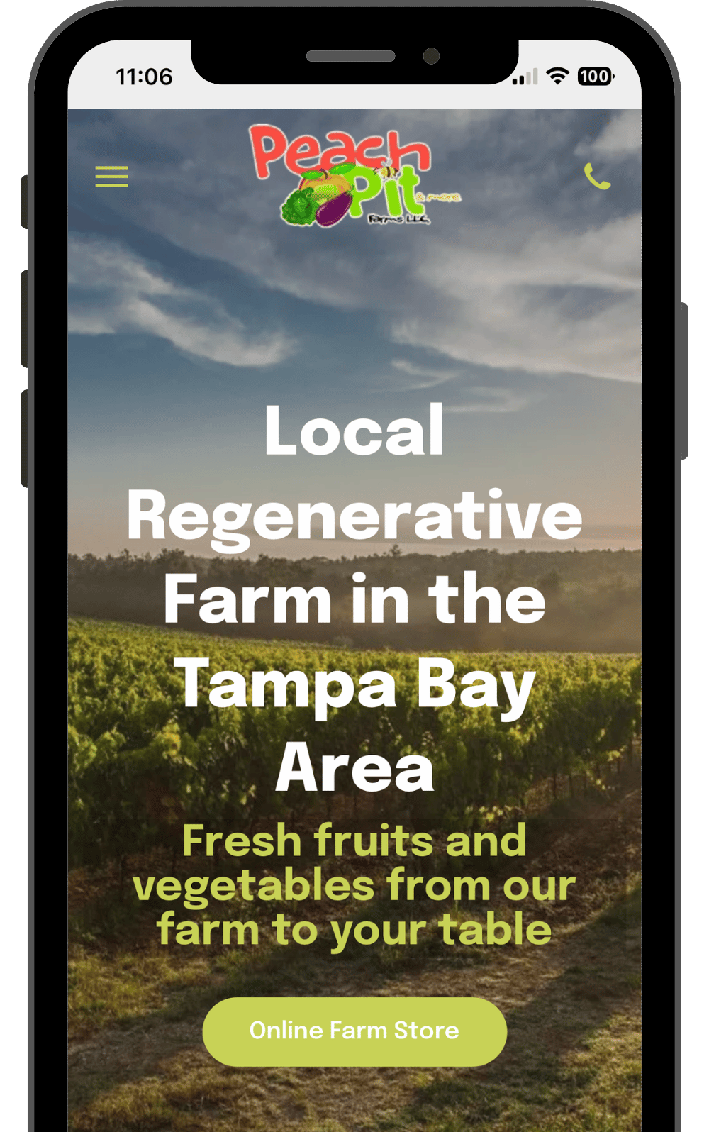 E-commerce website screenshot | Online store for a farm