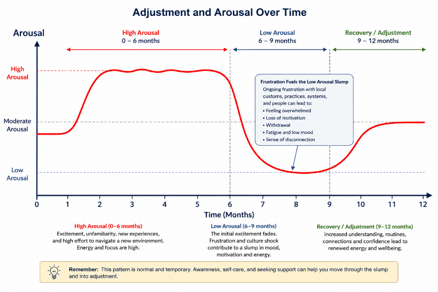 Graph titled “Adjustment and Arousal Over Time” showing a red curve rising, plateauing, then dropping and recovering.