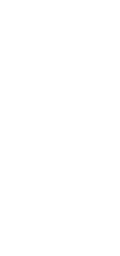 Centrifugal