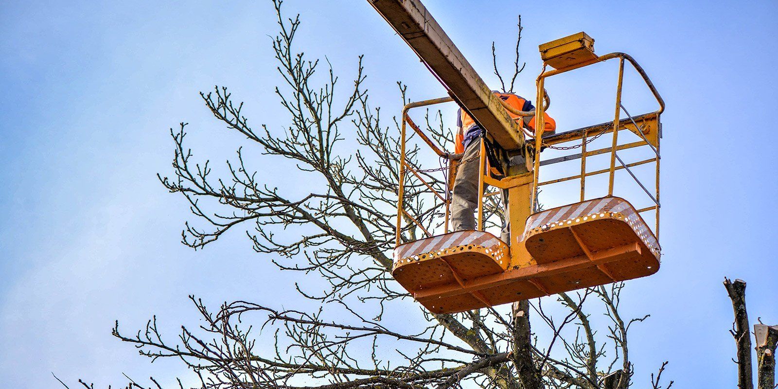 Una persona pota un albero da un ascensore giallo sullo sfondo del cielo azzurro.