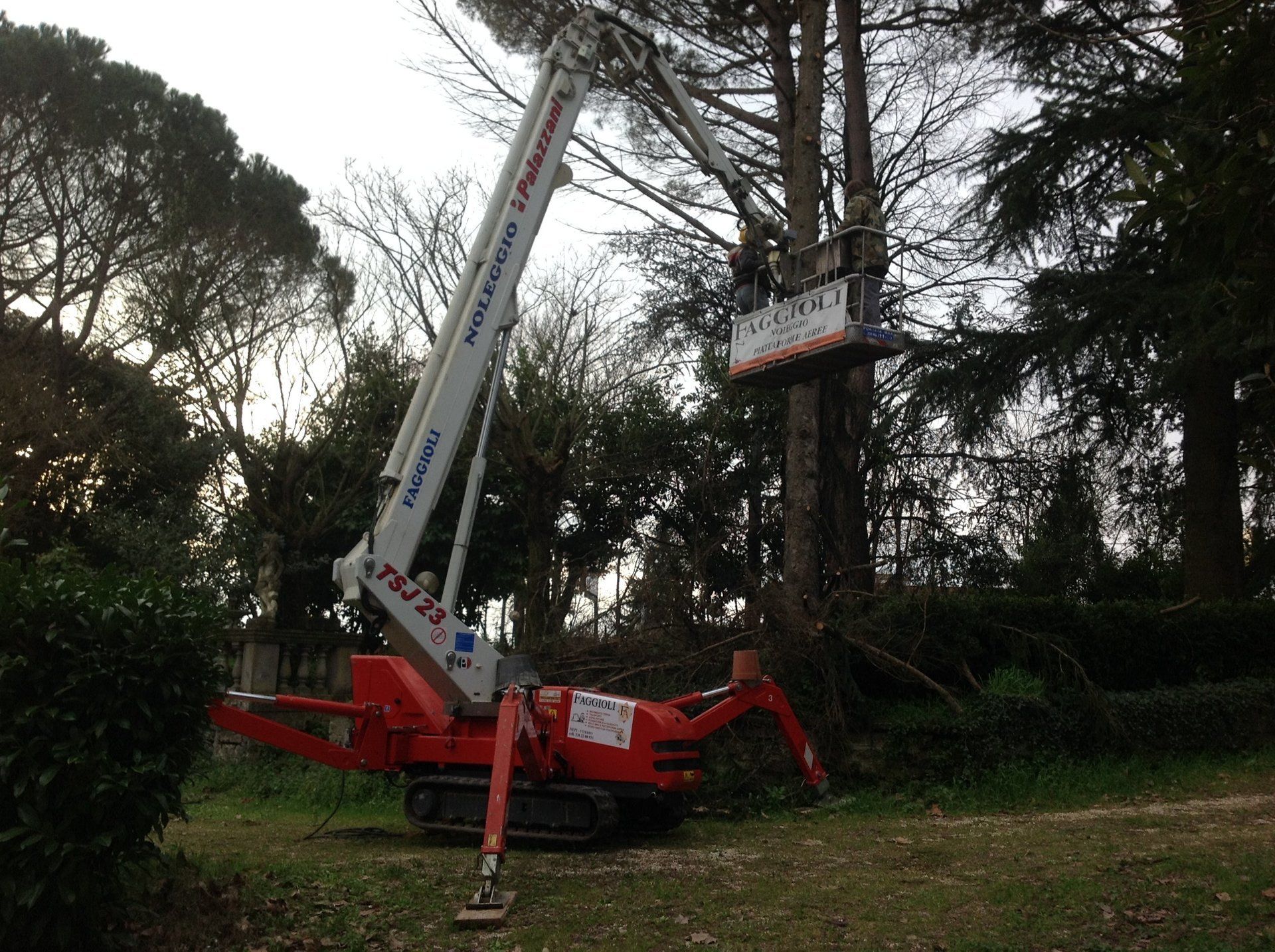 Un addetto alle piattaforme aeree sta potando un albero alto in una zona erbosa, con i rami visibili.