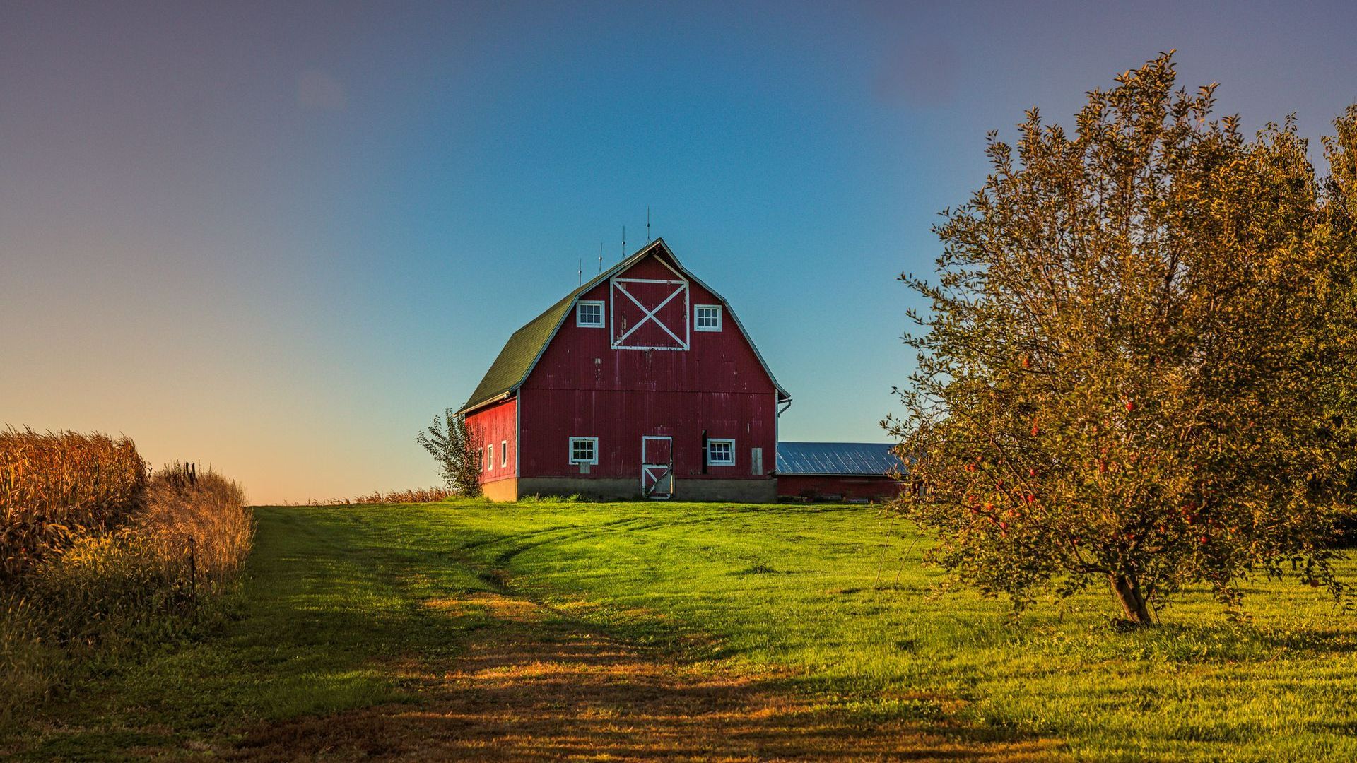 Barn — Cleveland, GA — Doug Freeman Insurance Agency