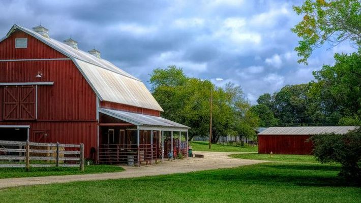 Farm — Cleveland, GA — Doug Freeman Insurance Agency