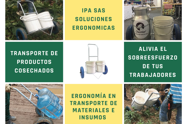Ergonomía en transporte de materiales e insumos