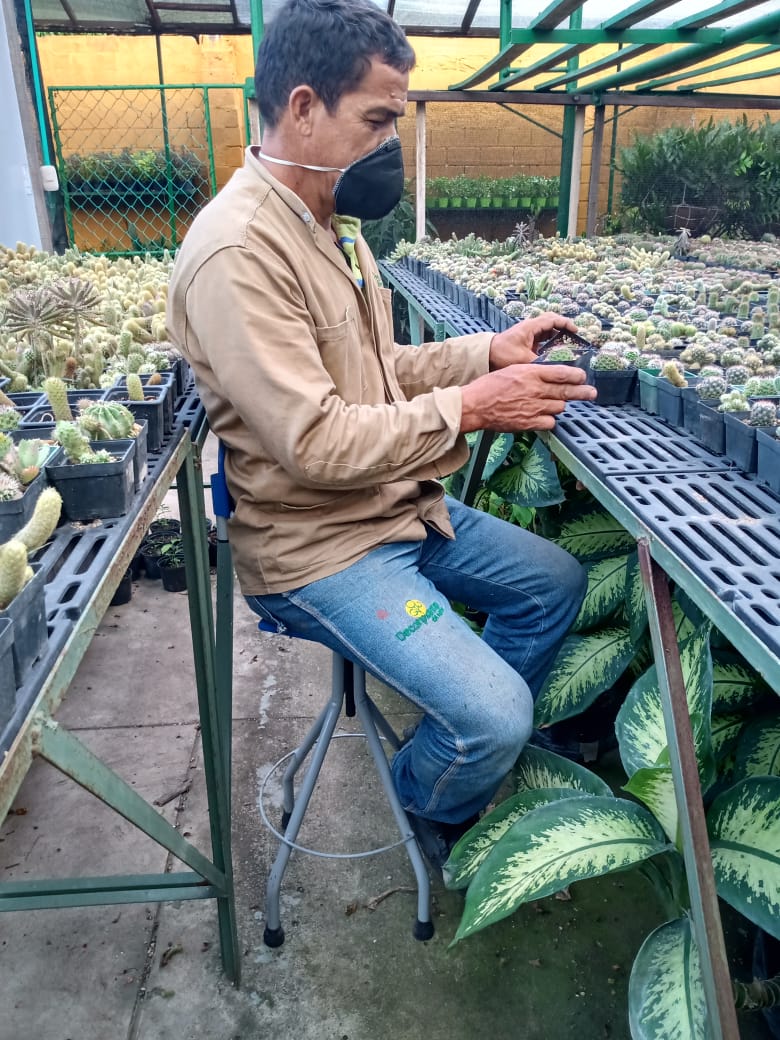 Ergonomía en trabajos de selección