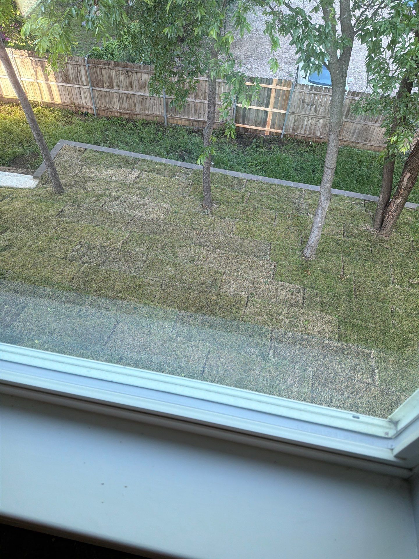 View through a window of a grassy backyard with trees and a fence.