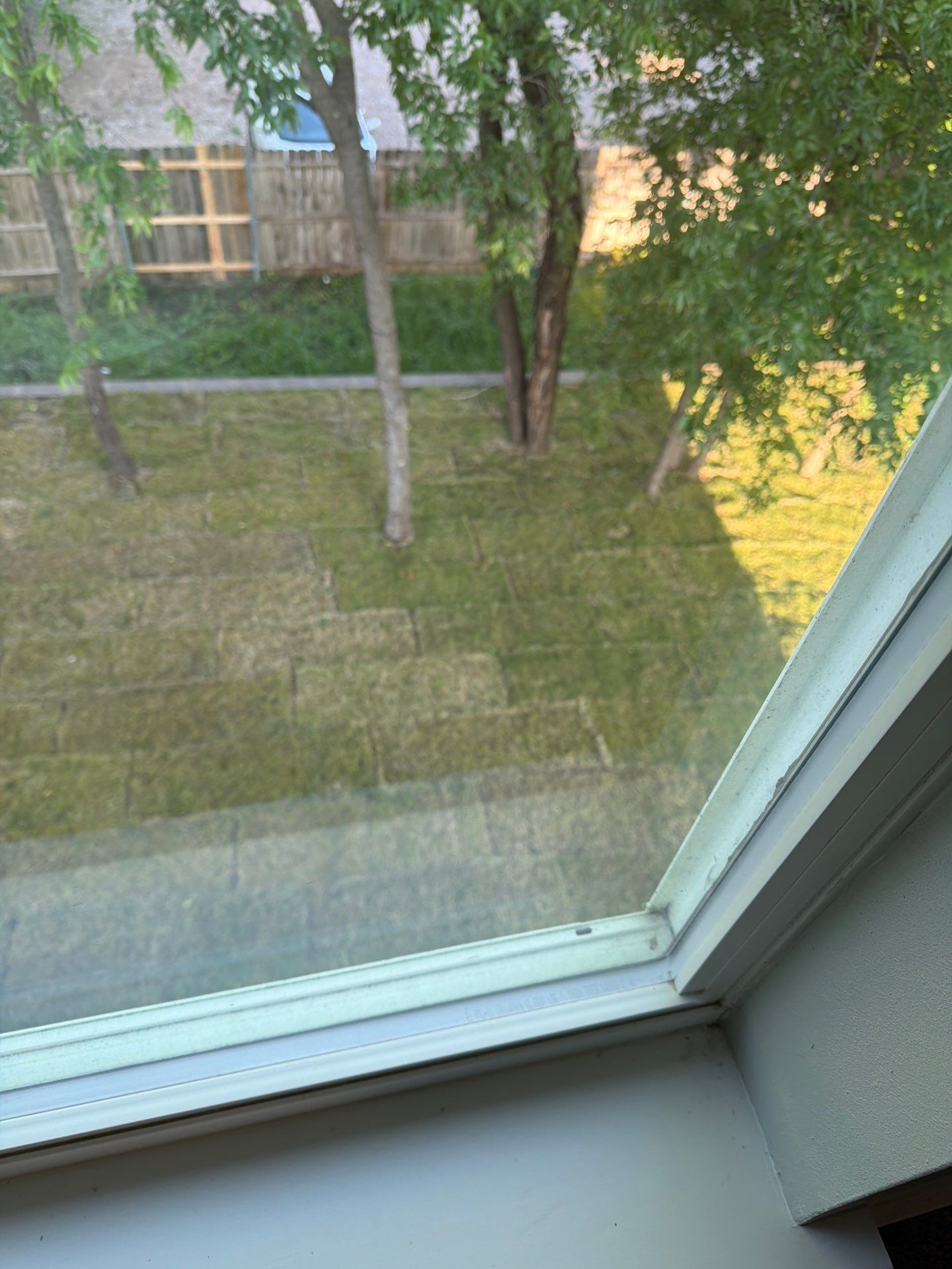 View through a window of a grassy courtyard with trees and a building in the background.