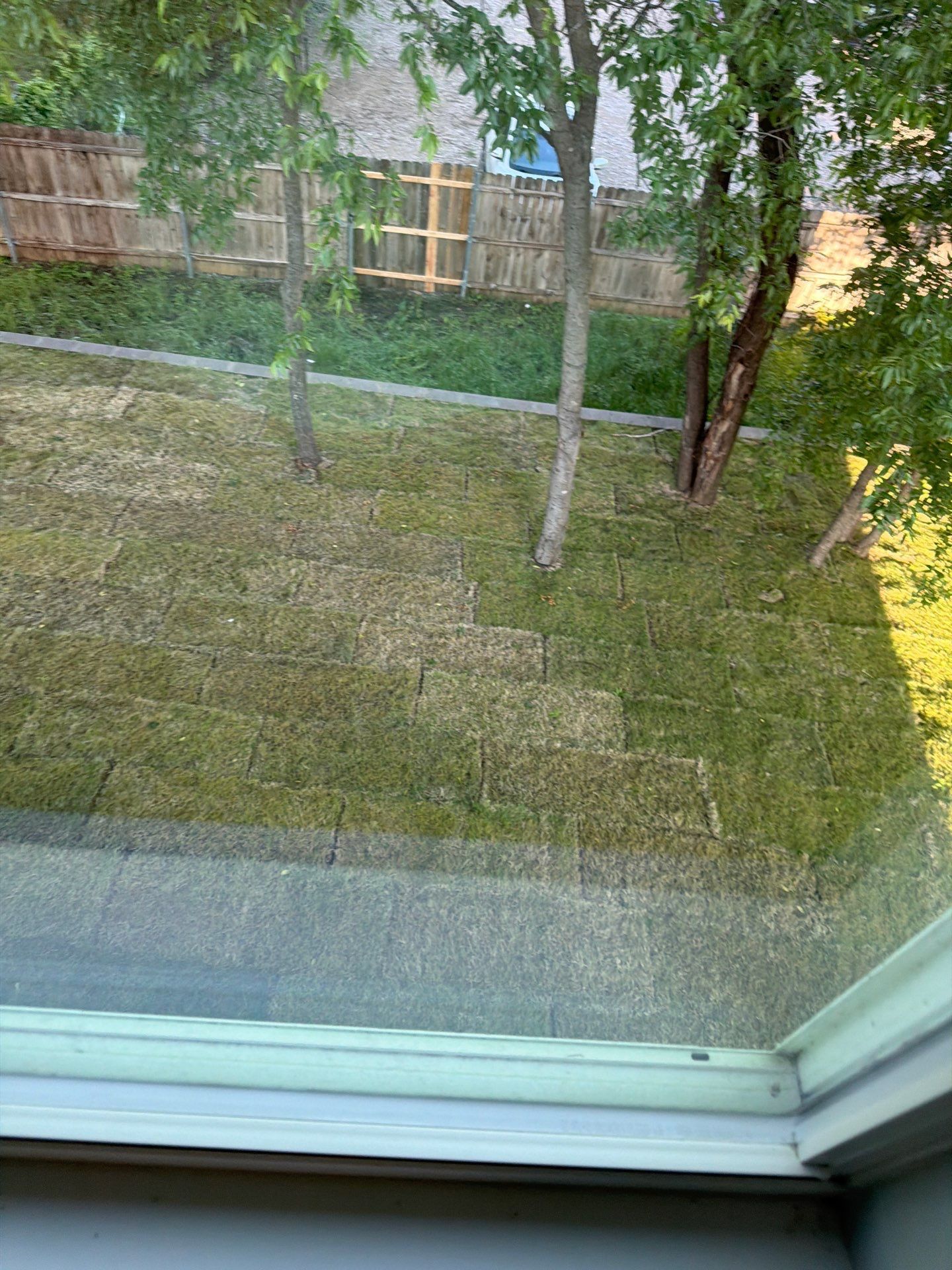 View through a window of a grassy backyard with trees and a wooden fence, bordered by a patio edge.