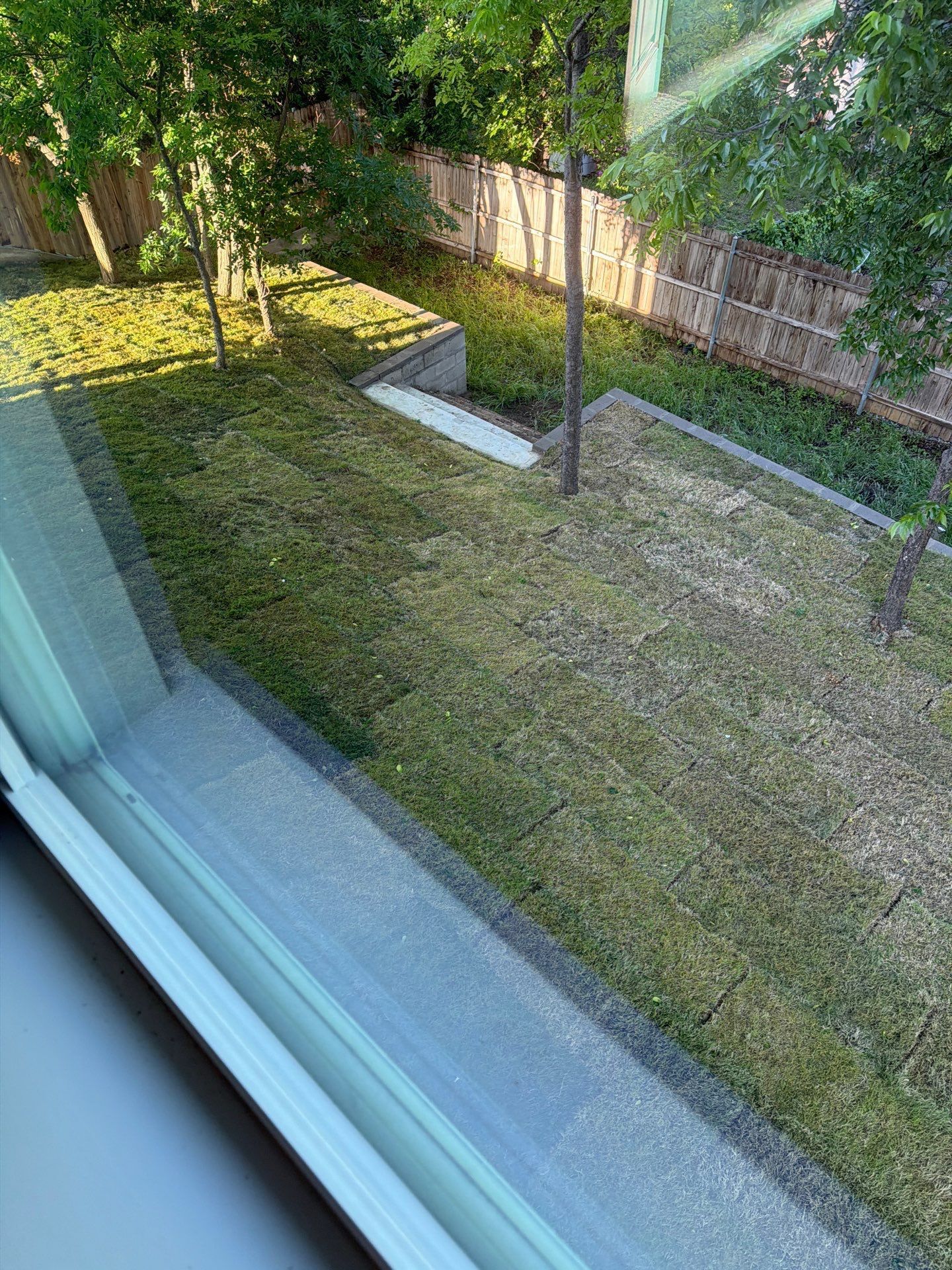 Backyard lawn with trees, a small retaining wall, and a brick fence viewed through a window.