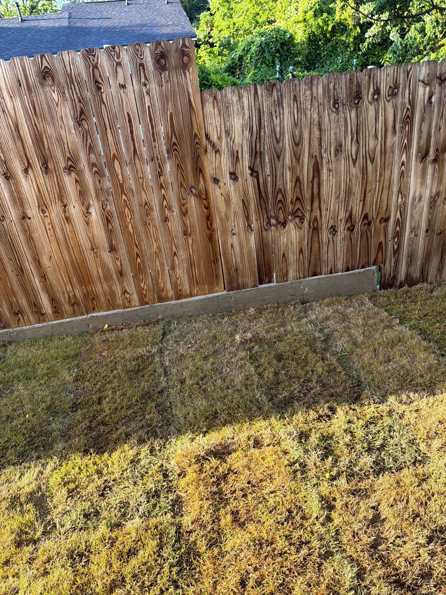 Weathered wooden fence behind a grassy backyard with a blue tarp visible at the top left.