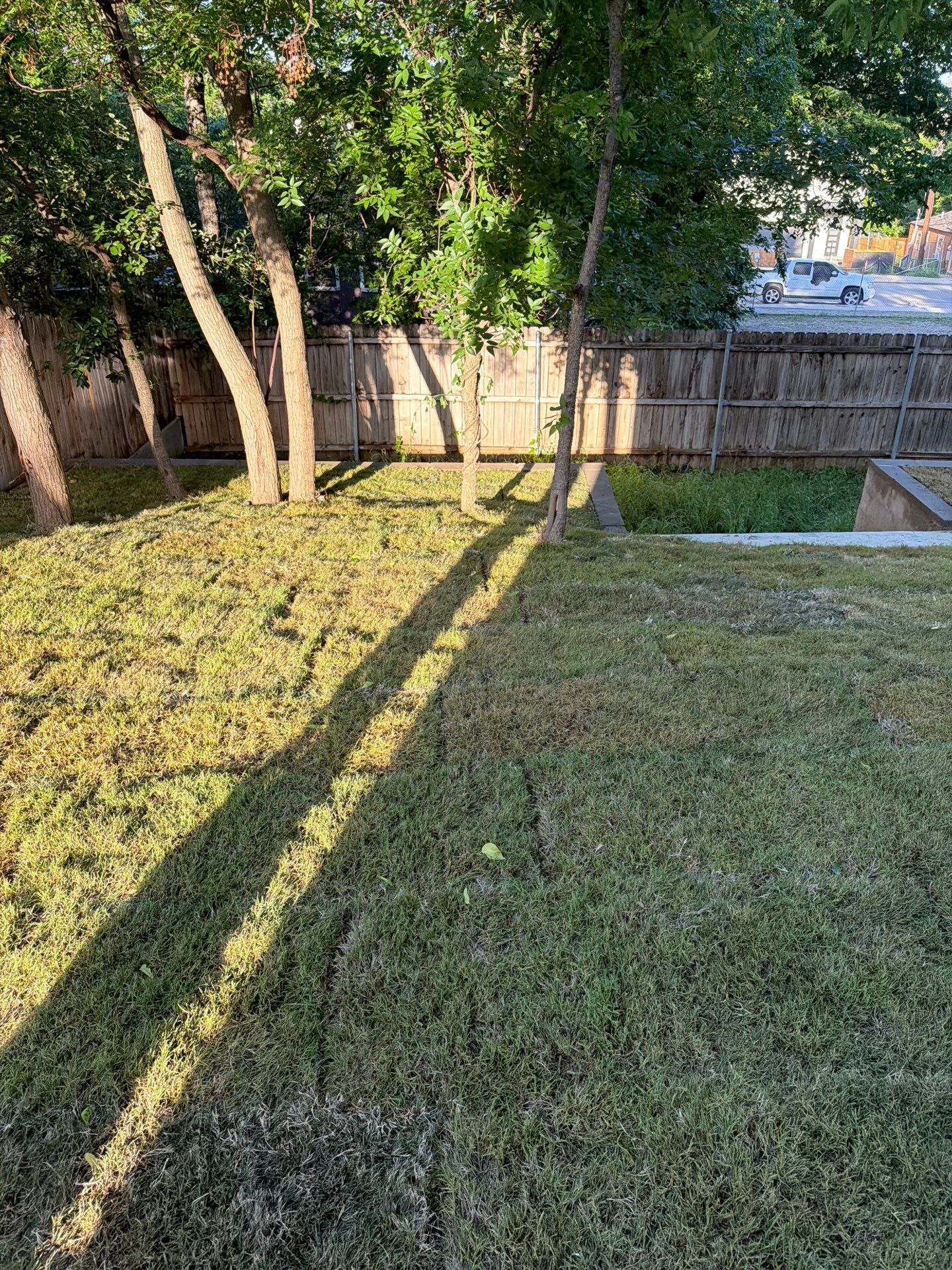 Sunlit backyard lawn with long tree shadows, wooden fence, and a small concrete patio area.