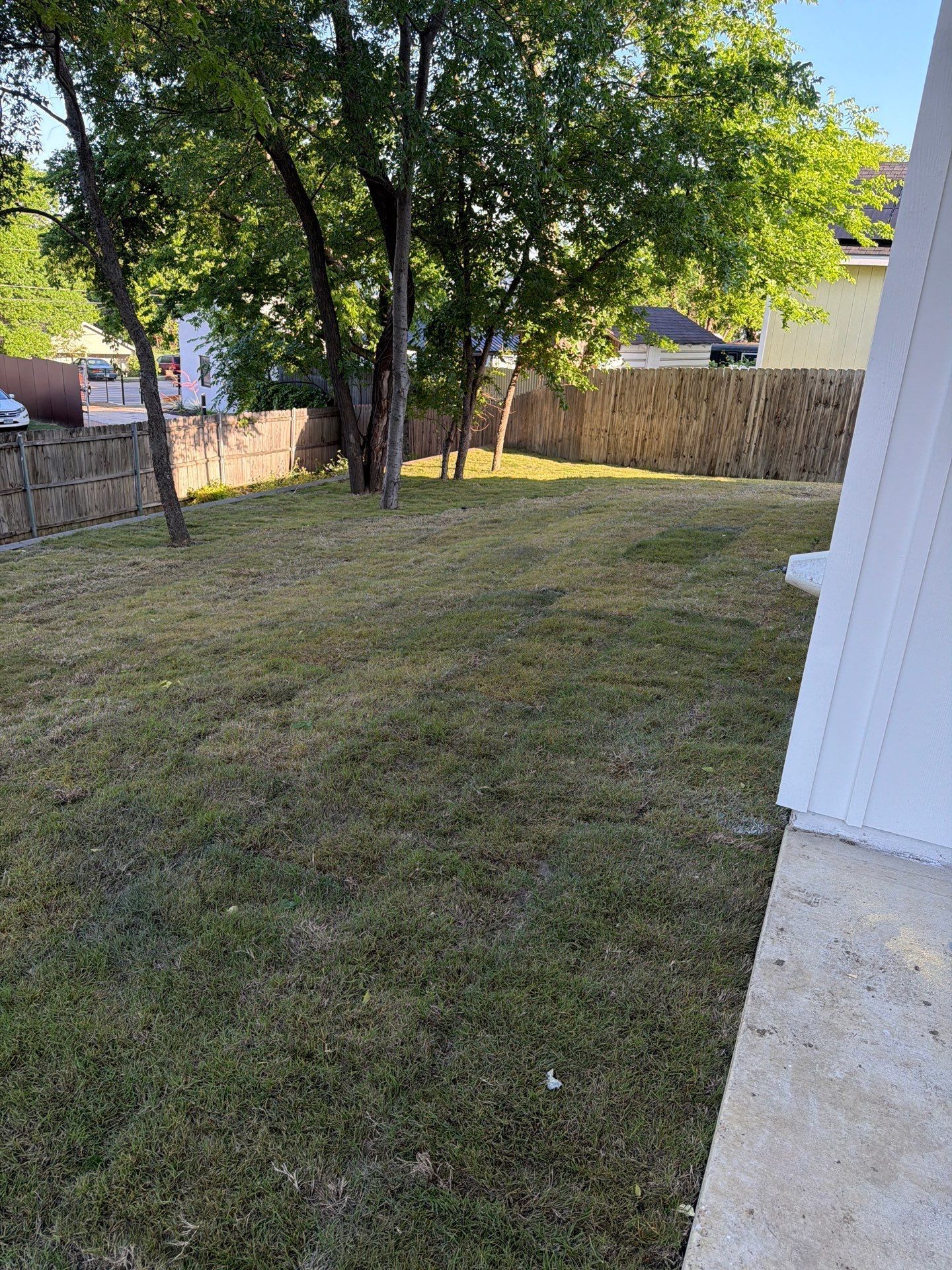 Backyard lawn with trees, a wooden fence, and a white house wall in the foreground.