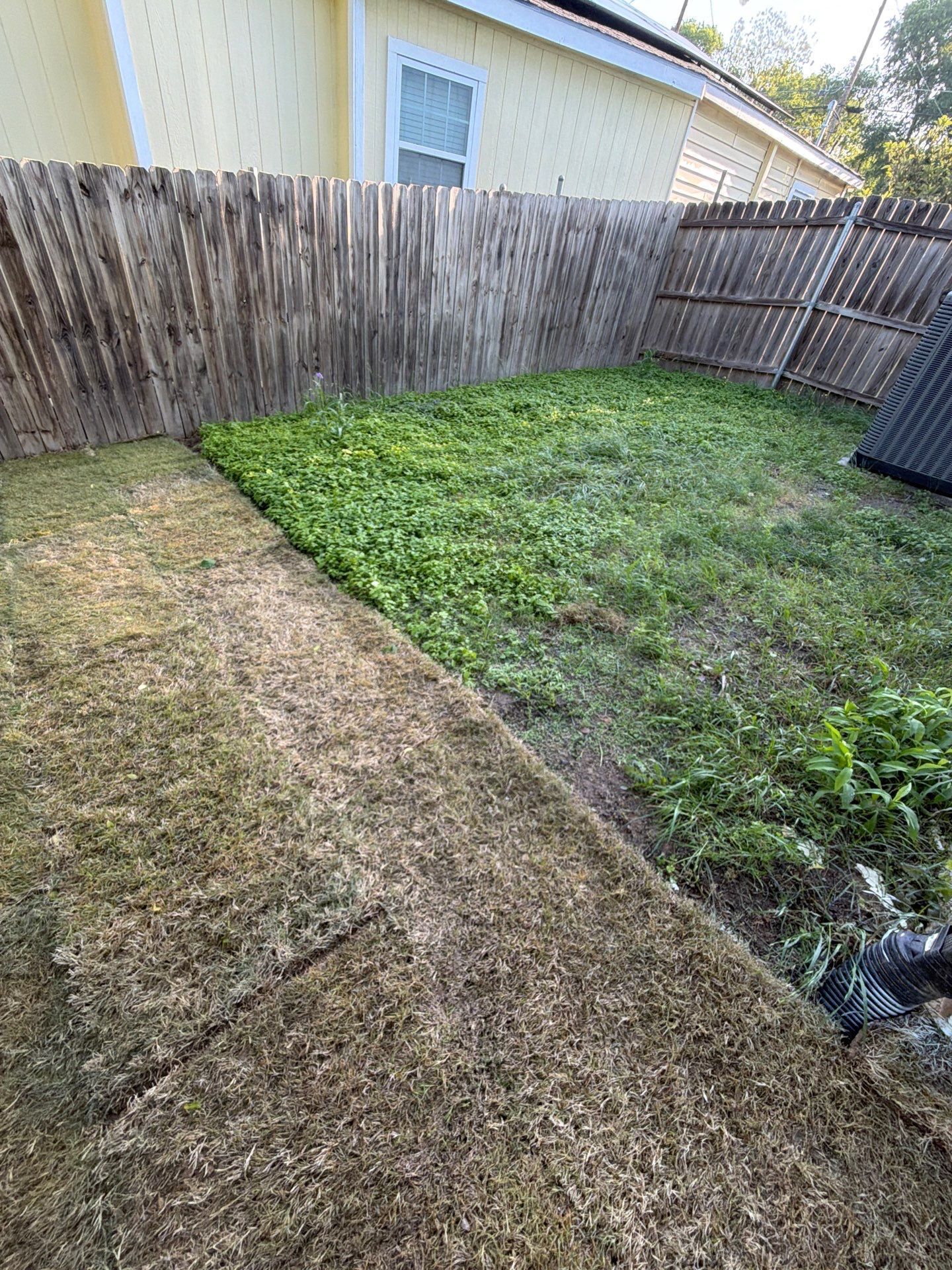 Small backyard with a wooden fence, patchy grass, and a narrow dirt strip along the left side.
