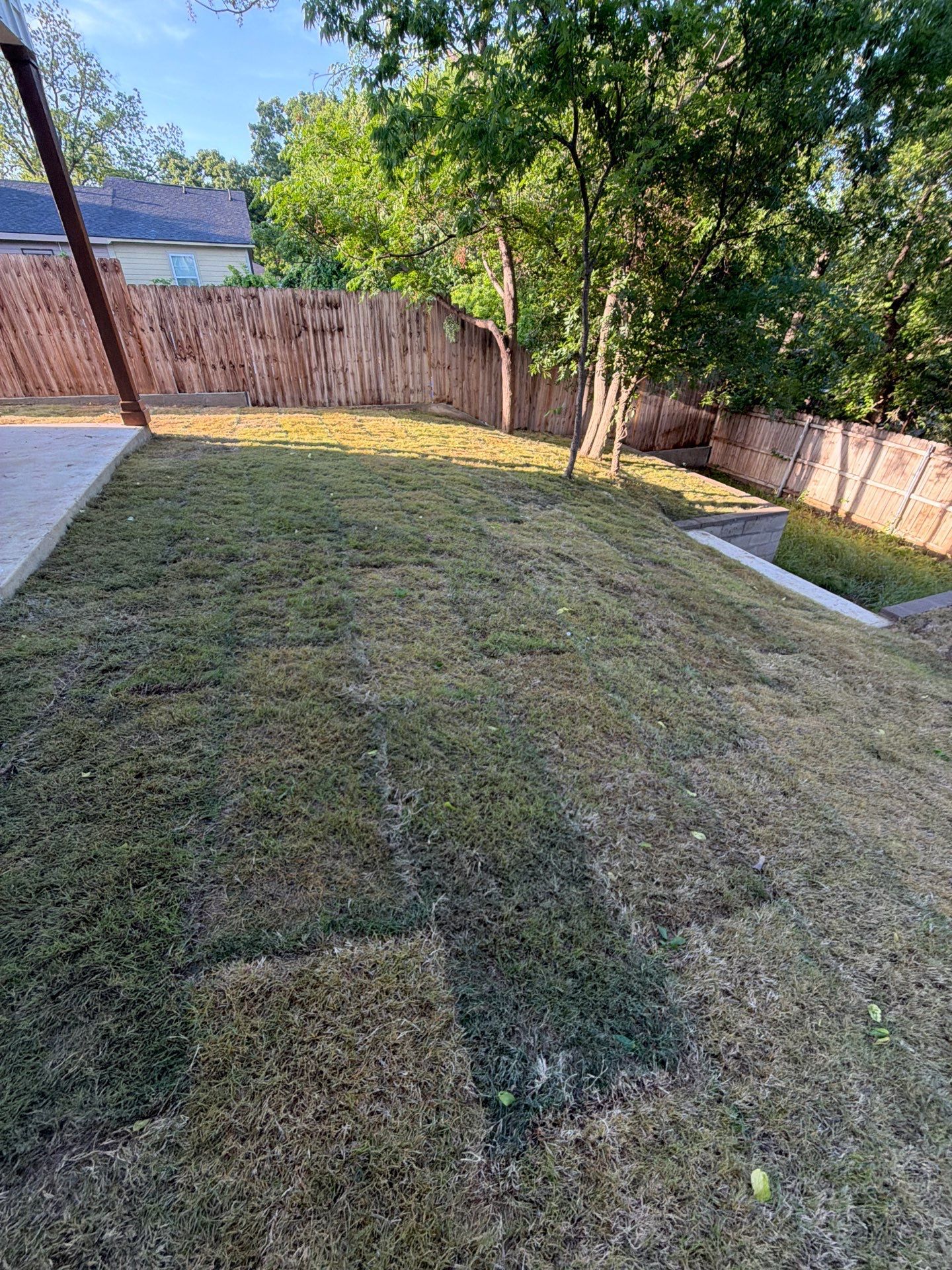 Backyard lawn with a fence, trees, and a concrete patio in the foreground