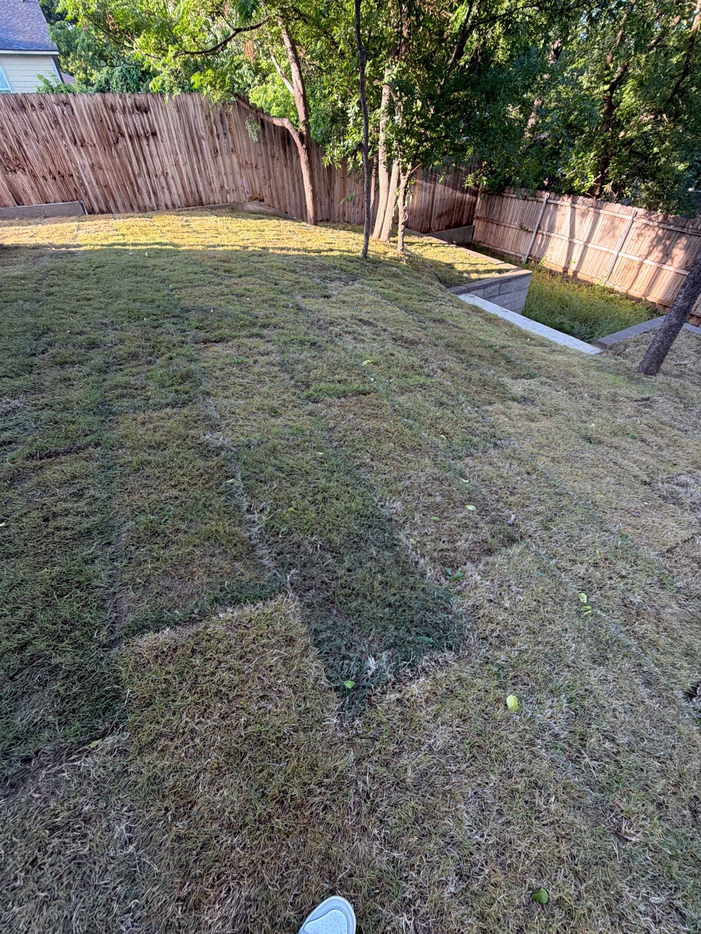 Backyard with patchy grass, trees, and a fence in the background