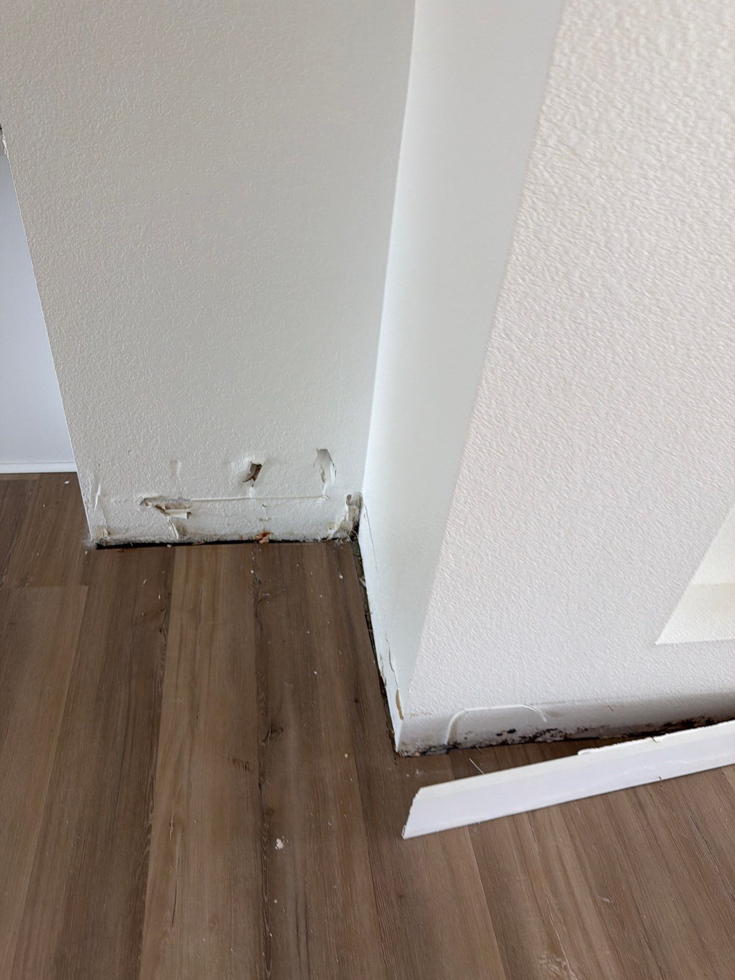 Damaged white wall corner with chipped baseboard and wood floor, near a loose white trim piece
