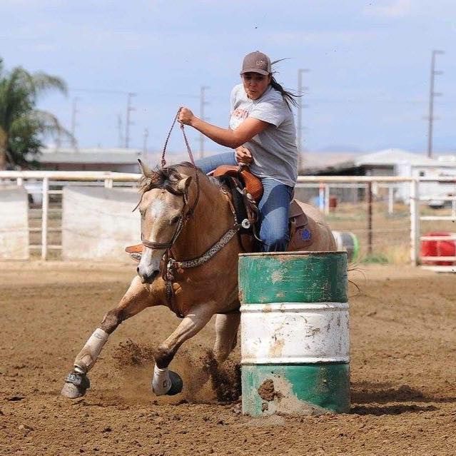 Rider on a brown horse outdoors