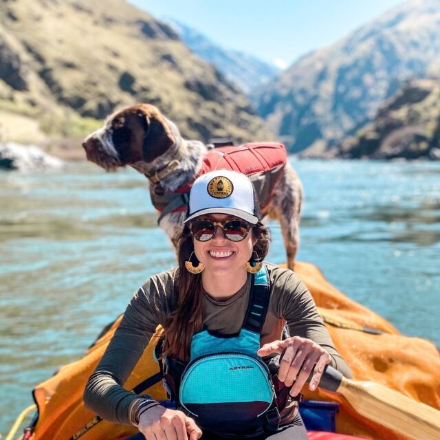 Dog wearing a life jacket beside a river
