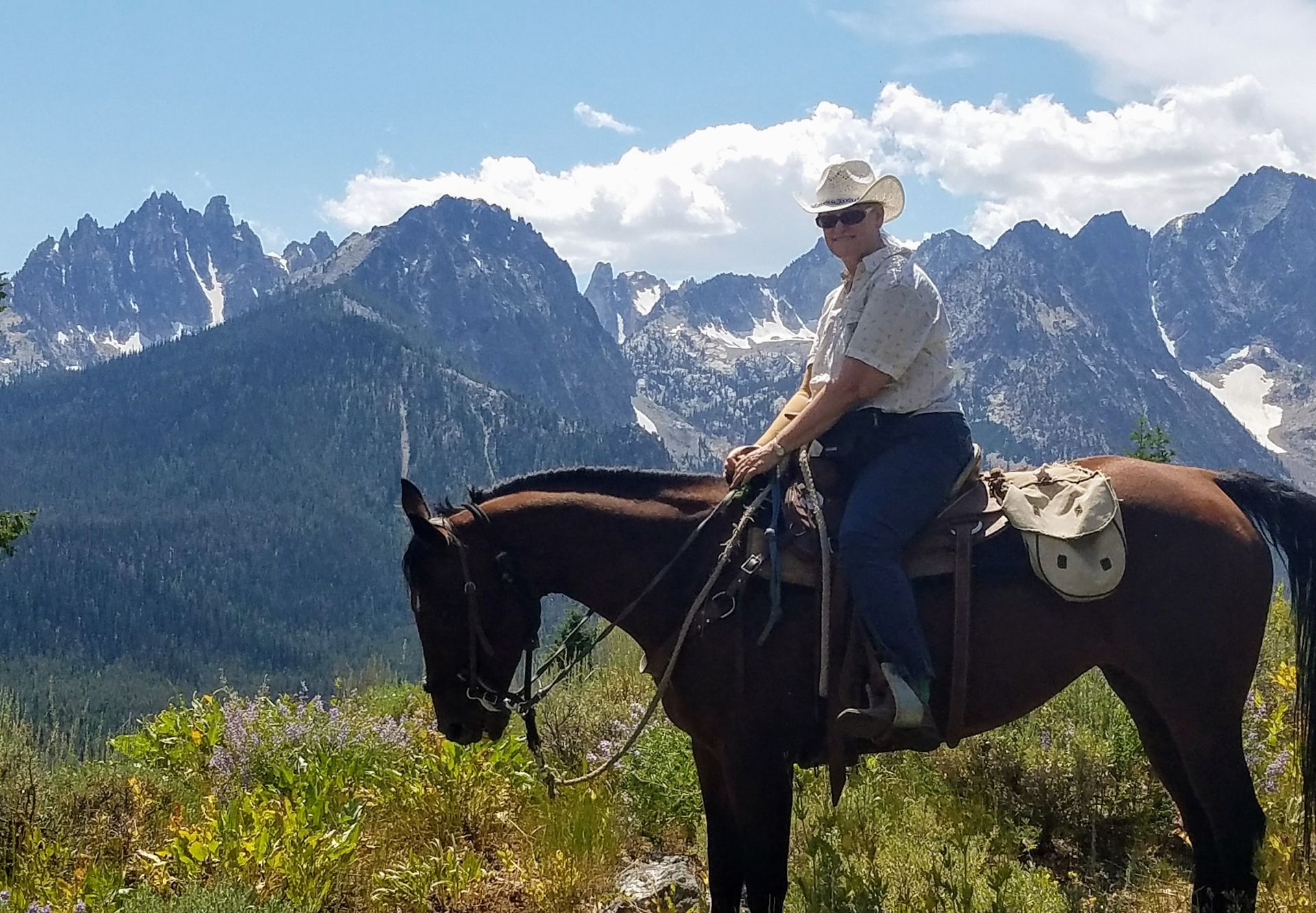 Rider on a horse with mountains in the background