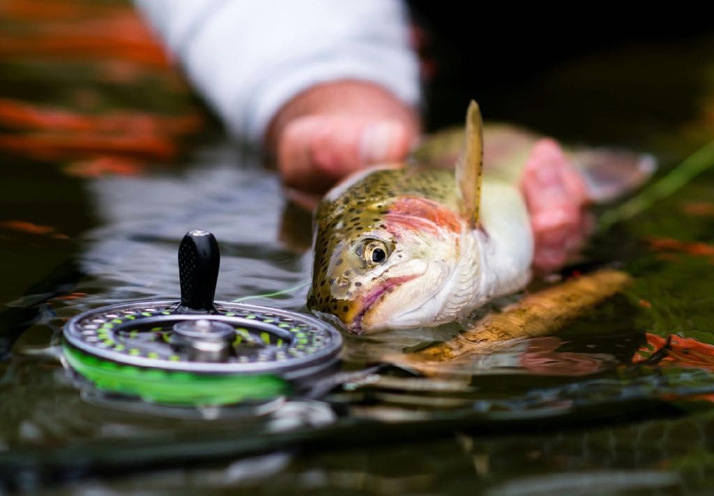 someone holding a fish next to a rod and reel