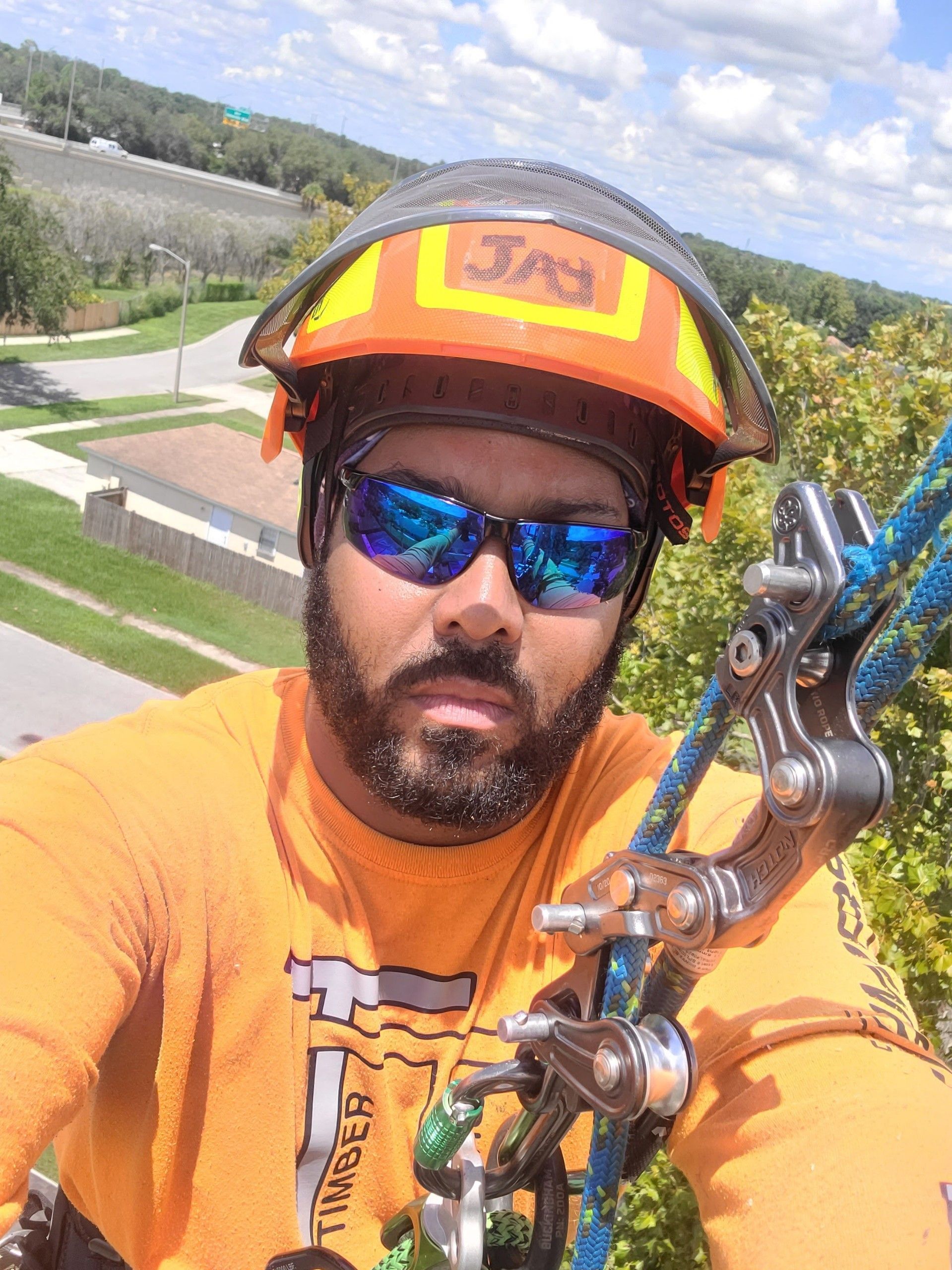 A man with a beard is wearing a helmet and sunglasses while climbing a tree.